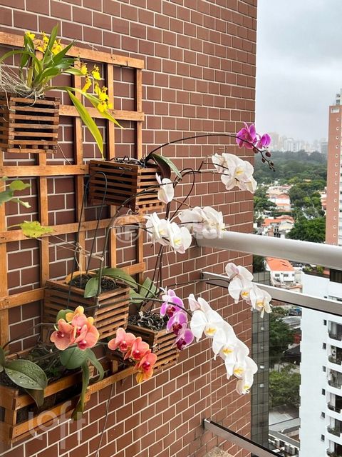 Image 8 - 322538