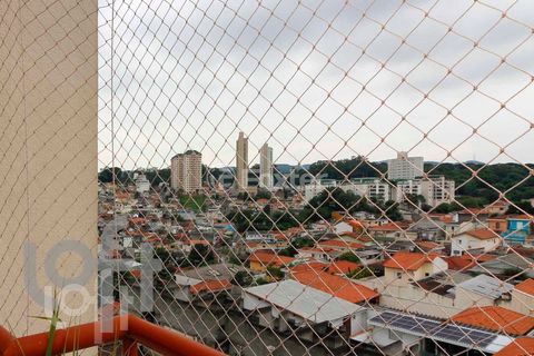 Image 13 - 325782