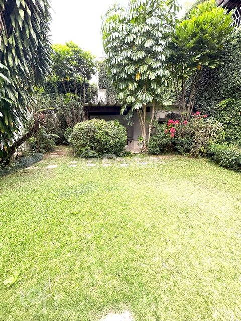 Image 6 - 328533