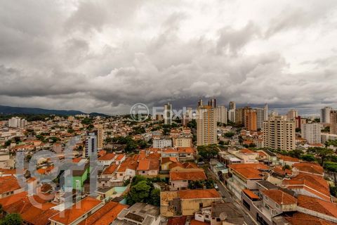 Image 11 - 331602