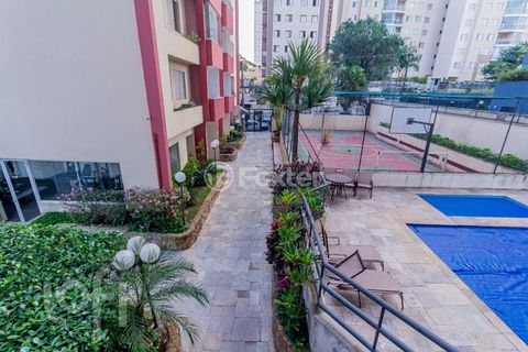 Image 8 - 333133