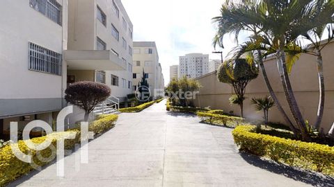 Image 9 - 333506