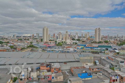 Image 2 - 335393