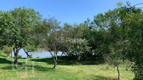 Image 13 - 338662