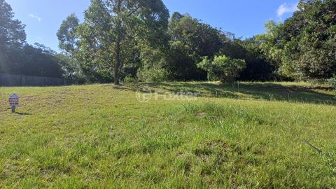 Image 0 - 338699