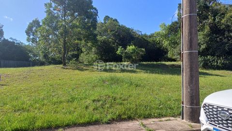 Image 3 - 338699