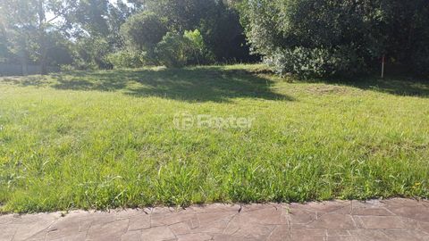 Image 1 - 338699