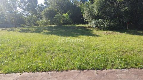 Image 2 - 338699
