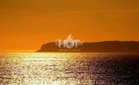 Image 16 - 339010