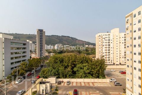 Image 9 - 339079