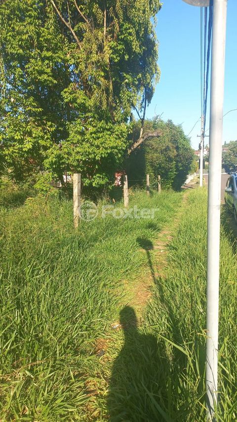 Image 2 - 373229