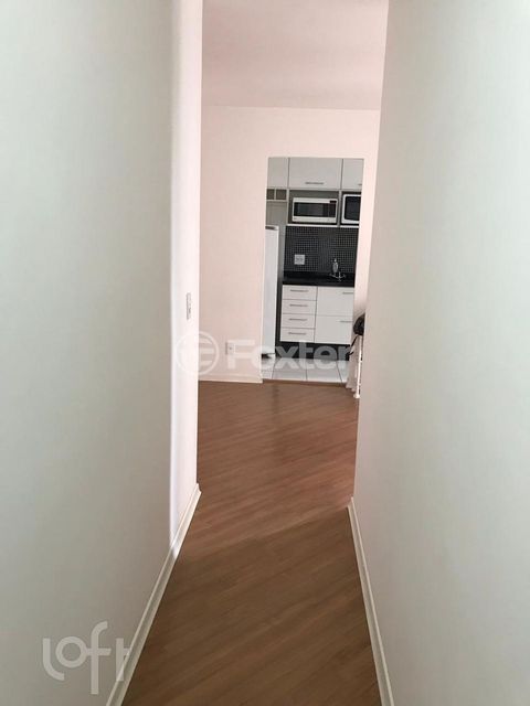 Image 3 - 381550