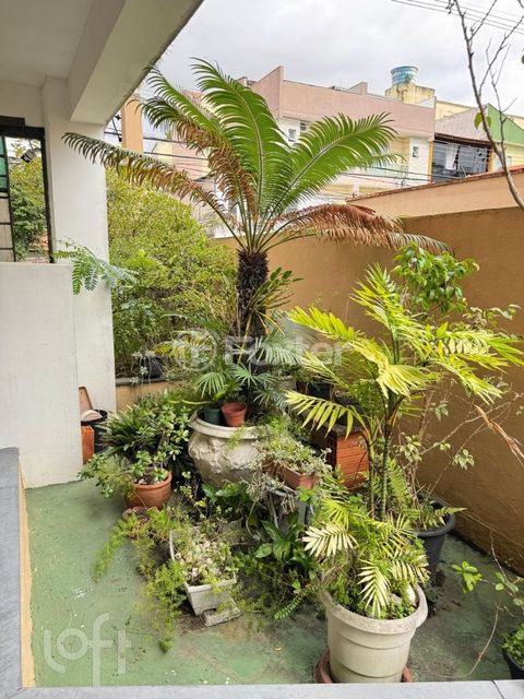 Image 15 - 385019