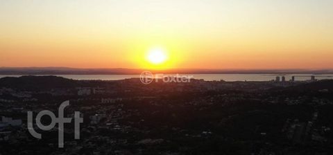 Image 5 - 441842