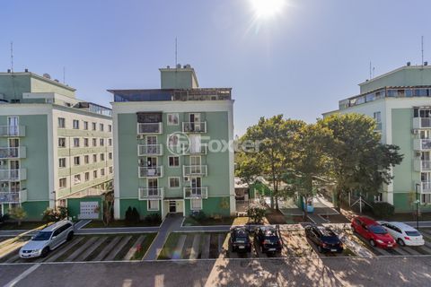 Image 11 - 446615