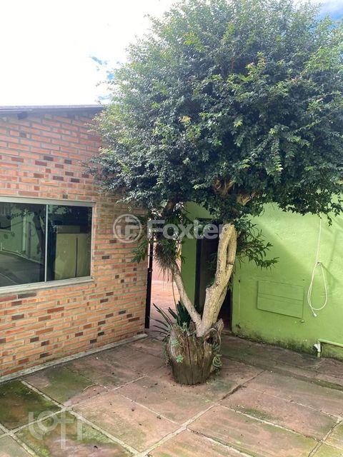Image 8 - 449343