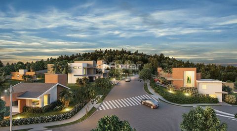Image 6 - 491722