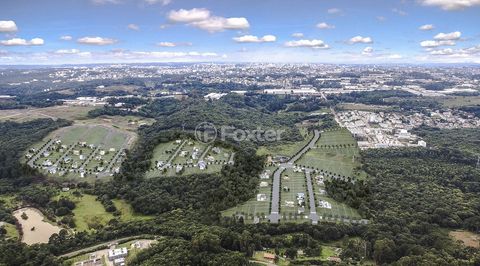 Image 1 - 491722