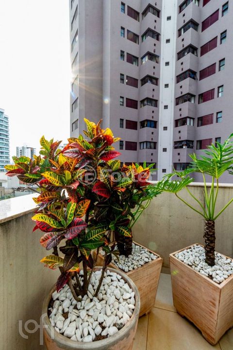 Image 13 - 526877