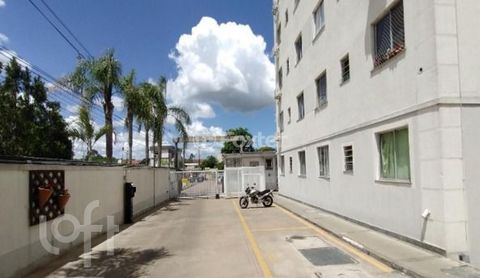 Image 17 - 541369