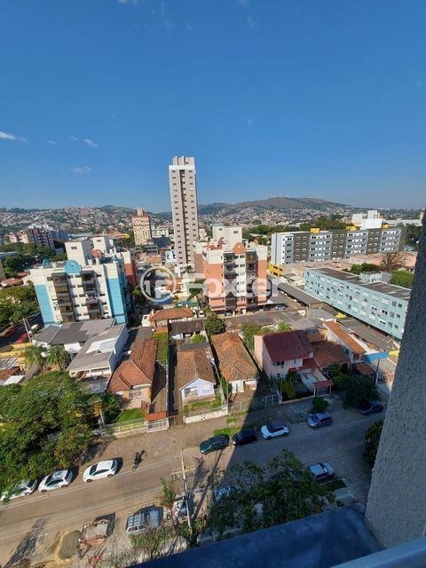 Image 5 - 542930