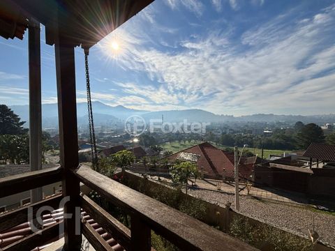 Image 8 - 544966