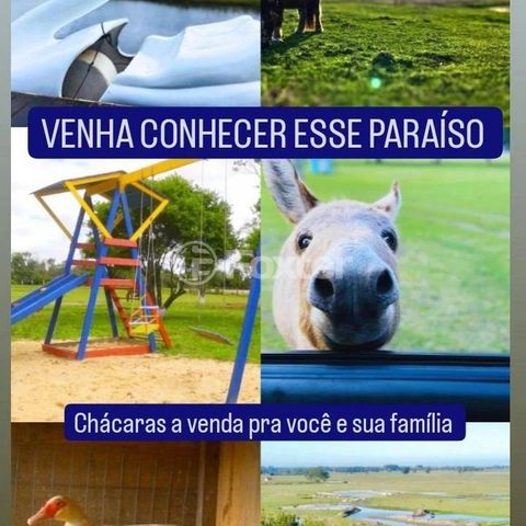 Image 4 - 548252
