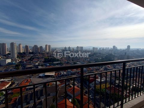 Image 11 - 557146