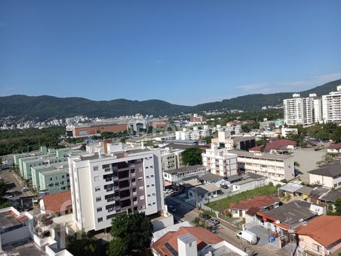 Image 7 - 591265