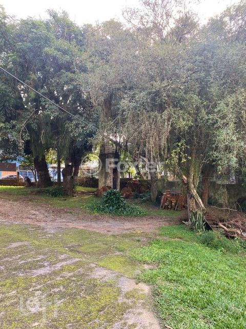 Image 7 - 592267