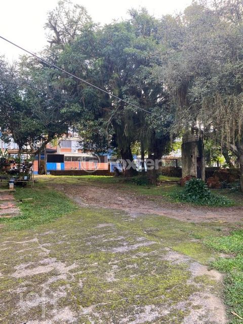 Image 8 - 592267