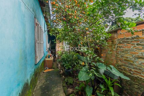 Image 11 - 593438