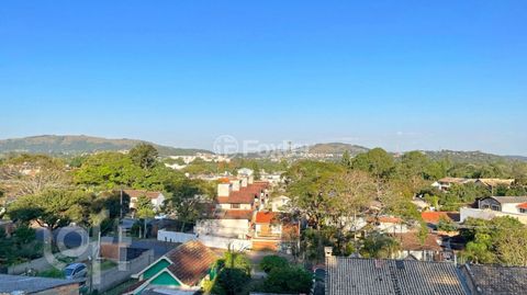 Image 18 - 596261