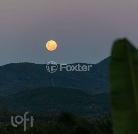 Image 9 - 607819