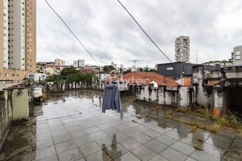 Image 12 - 648429