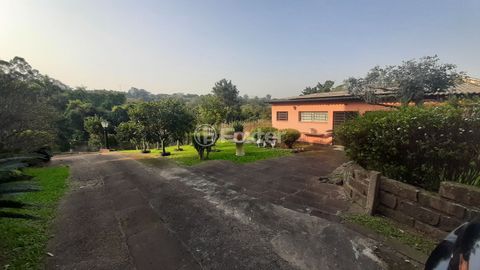 Image 4 - 657299