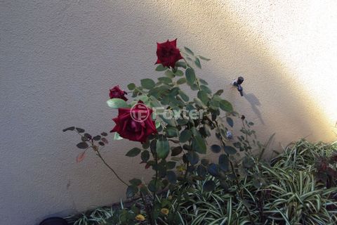 Image 7 - 694262