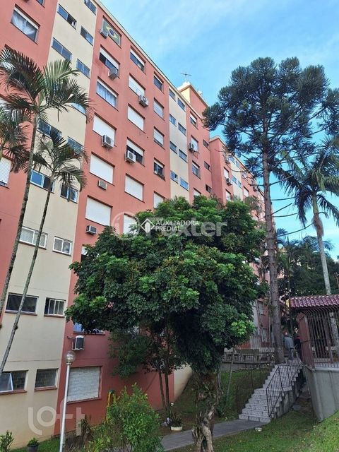 Image 11 - 694855