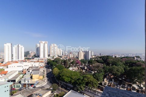 Image 7 - 717341