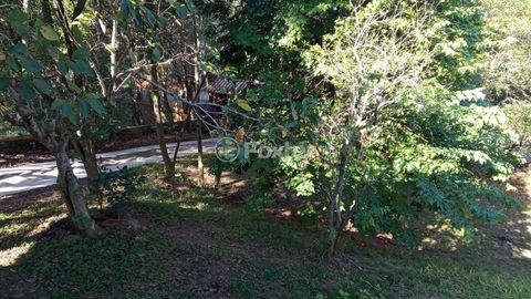 Image 13 - 717439
