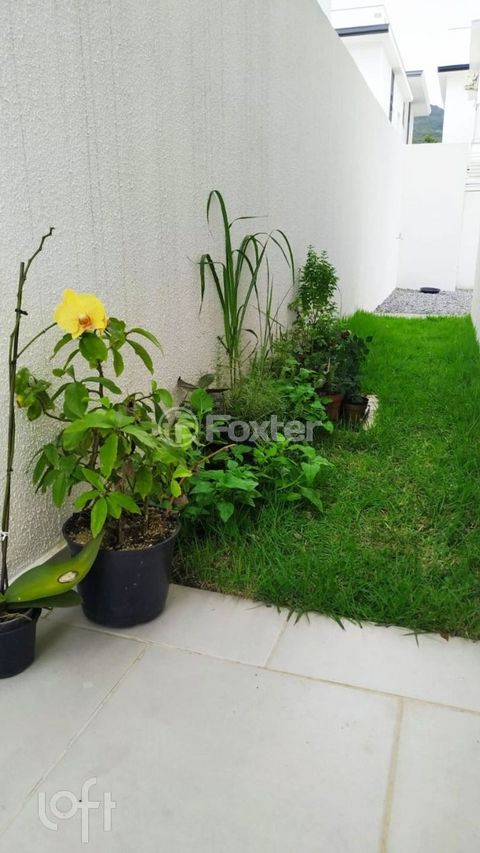 Image 6 - 730691