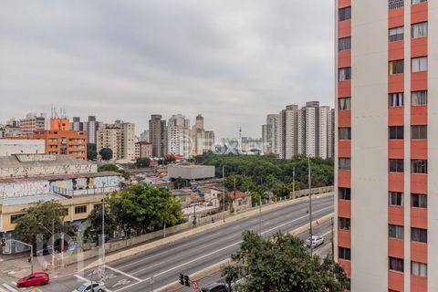 Image 3 - 730784