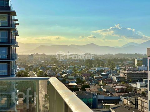Image 8 - 736250