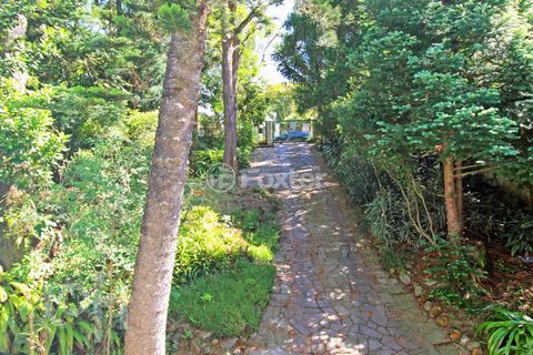 Image 9 - 737392