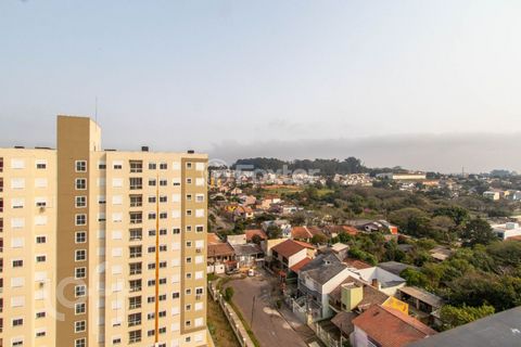 Image 7 - 737529