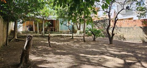 Image 4 - 745313