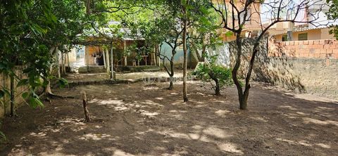 Image 13 - 745313