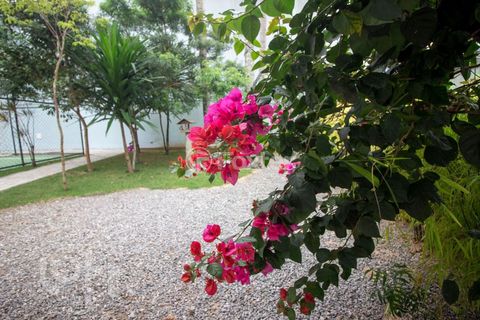 Image 16 - 752272