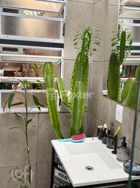 Image 7 - 755479