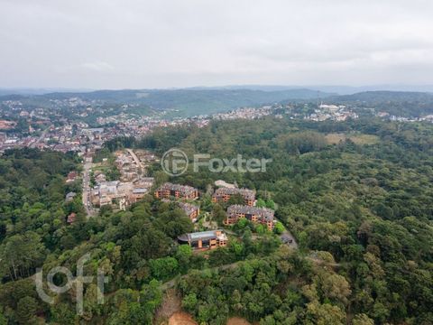 Image 11 - 756810